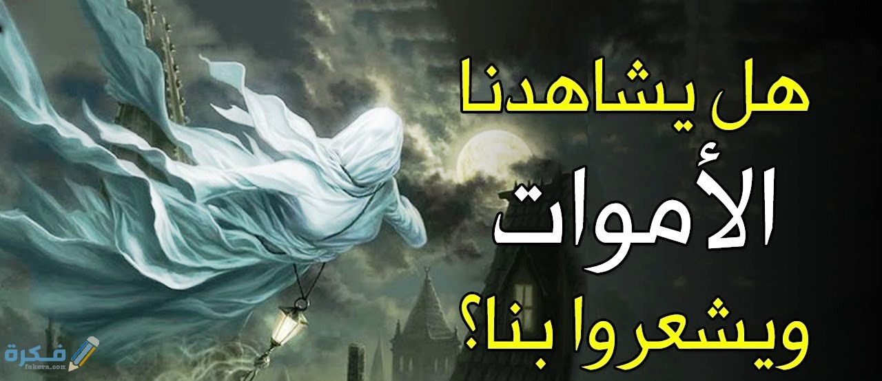 هل يشعر الأموات بنا ويسمعونا 1 كيف يعيش الموتي في دار البرزخ