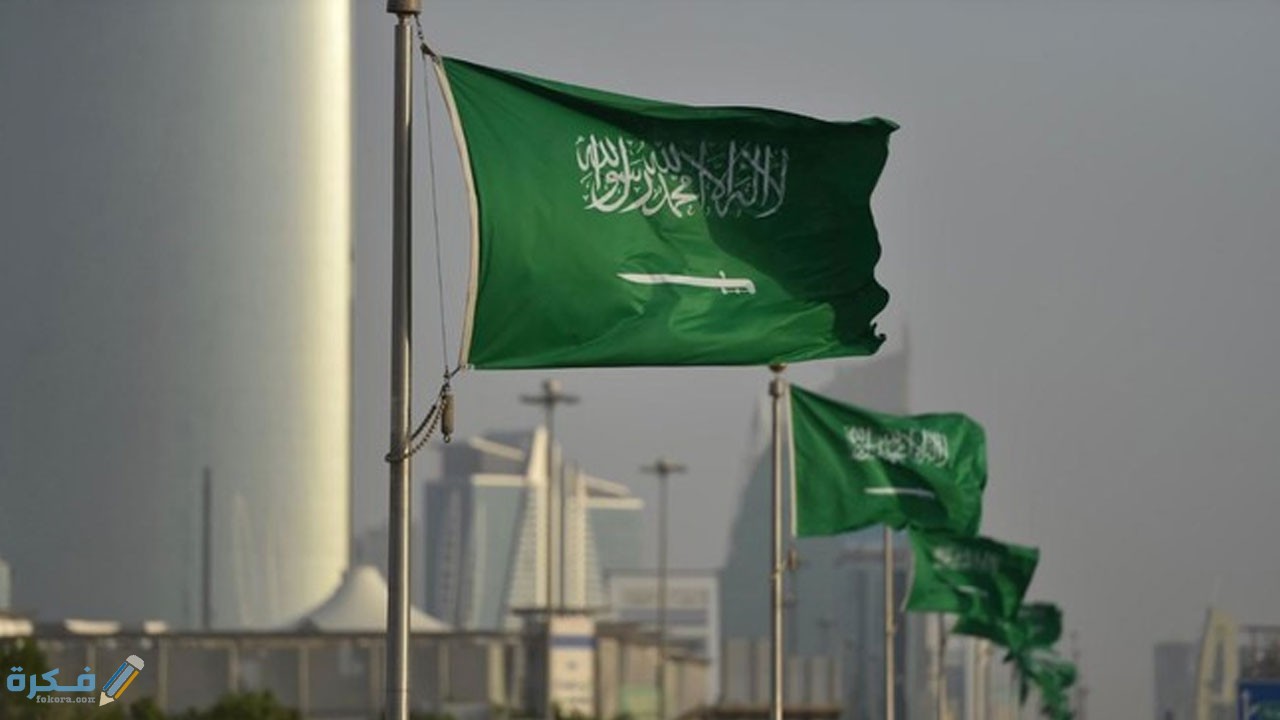 ما هي القطاعات التي سوف يتم تخصيصها في السعودية وفق رؤية 2030 1 ما هي القطاعات التي سوف يتم تخصيصها في السعودية وفق رؤية 2030
