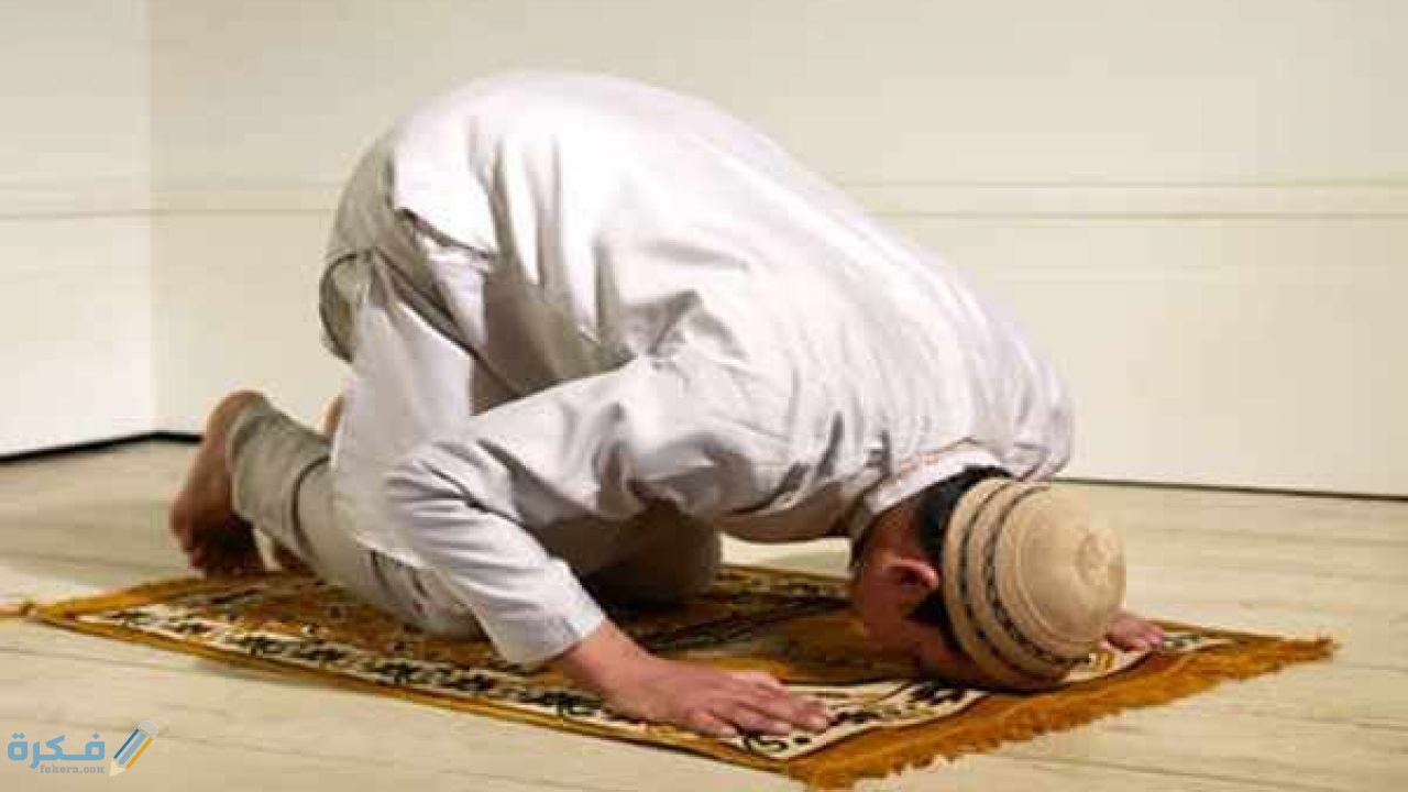 هل استطيع أن أصلي العشاء بعد منتصف الليل 1 دلائل من كتاب الله وسنة نبيه عن موعد صلاة العشاء