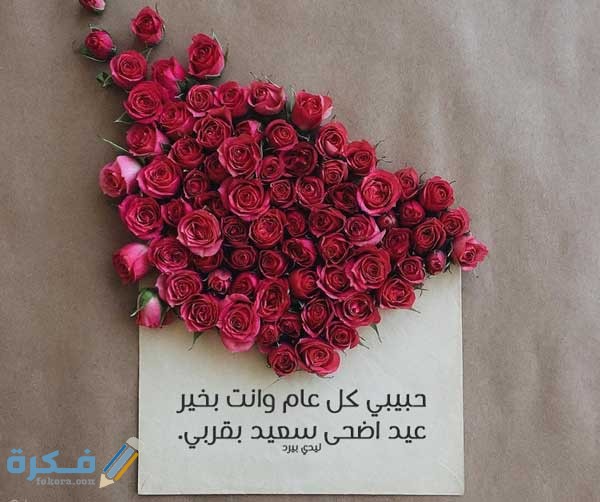 "تهنئة العيد" حالات واتس اب عيد الاضحى المبارك 2025 1 1ED4E69B C1FC 4DBC B2D8 04614ABD7D25