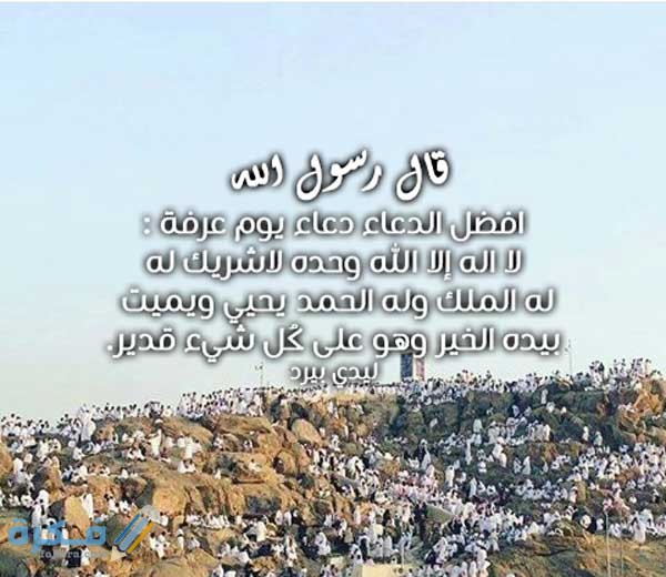 دعاء يوم عرفة مكتوب .. 17 دعاء وذكر ردده الأنبياء في جبل عرفات 1 4CA01702 5F76 4E80 A029 8D950A8C0ADE
