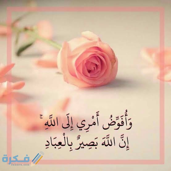 تجربتي مع دعاء وأفوض أمري إلى الله 1 images 2021 07 26T170256.269