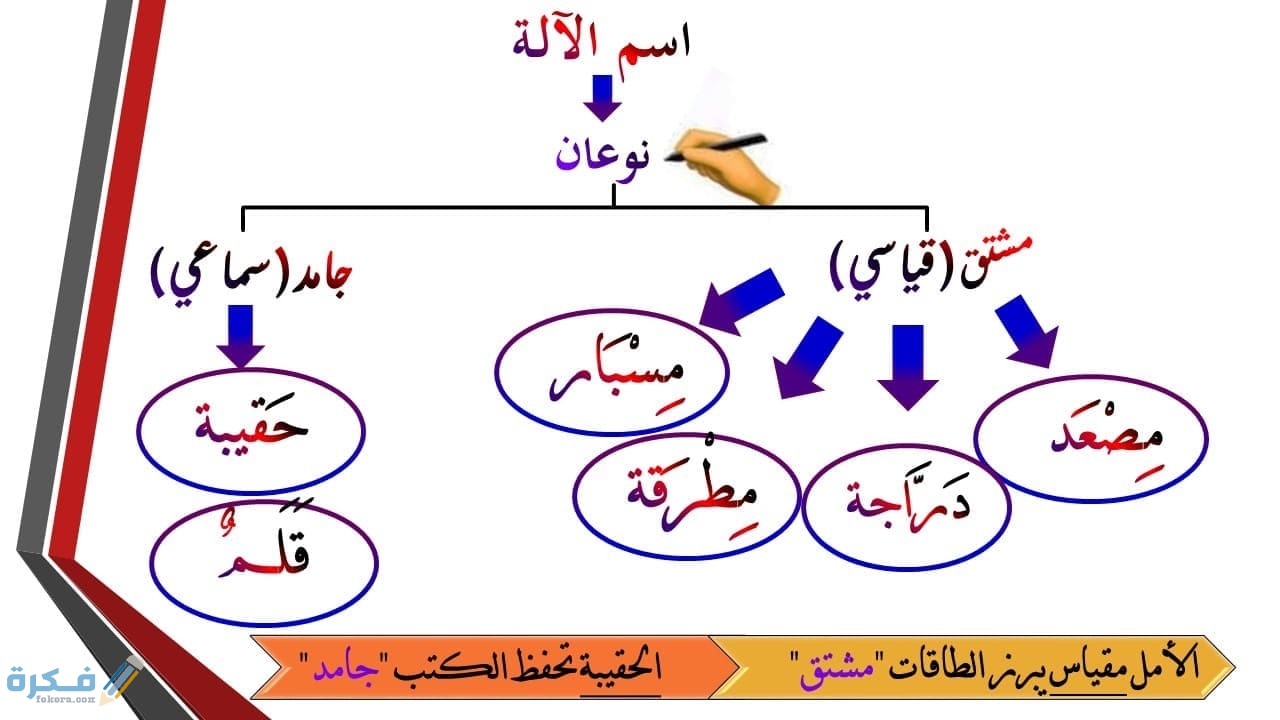 الاسم الجامد والمشتق 1 الاسم الجامد والمشتق