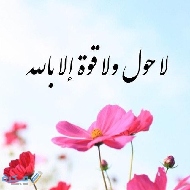 ما معنى الحوقلة وما هي المعجزة الحوقلة 1 E441BC6D D0BD 47F3 888D CD082676A8F8