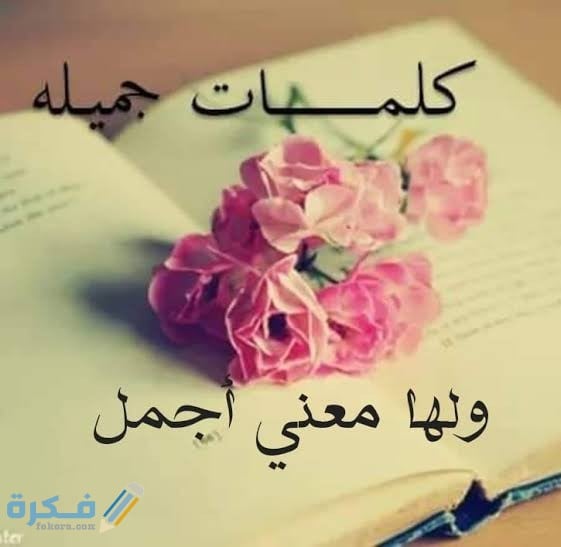 تعليقات جميلة 1 images 2021 07 31T153647.072