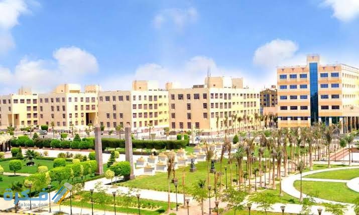 اسعار مصاريف كلية اعلام في الجامعات الخاصة في مصر 2025-2025 1 images 55 2