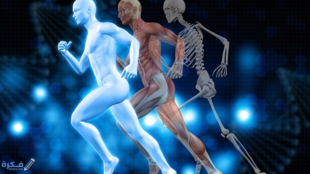 عجائب خلق الله في جسم الإنسان 1 عجائب جسم الإنسان