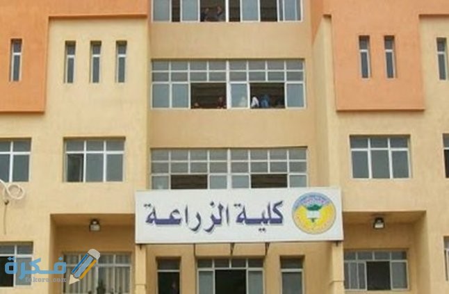 هل خريج كلية زراعة مهندس ؟ 1 BAC1A60C BA2B 4518 B44A 0562B72E10B9