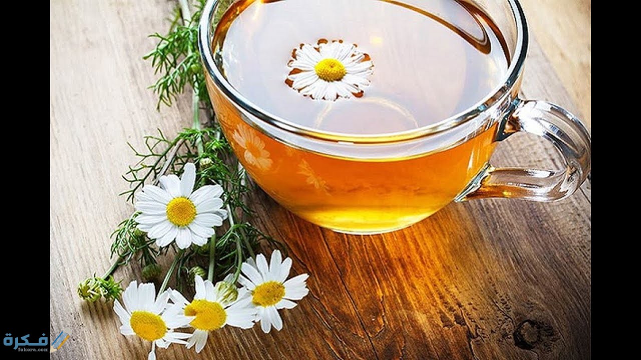 تجربتي مع شرب البابونج يوميا 1 تجربتي مع شرب البابونج يوميا