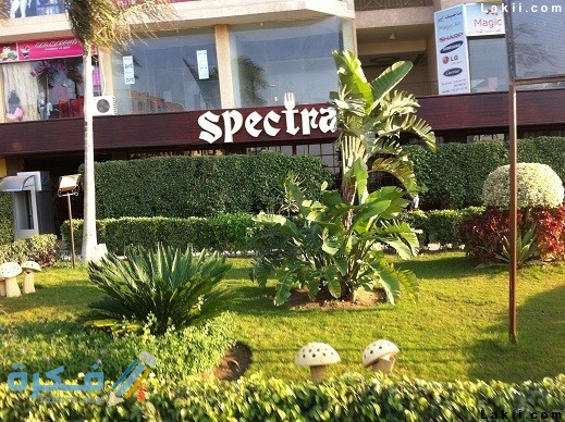 سبكترا الشجرة عنوان الكافية ومواعيد العمل – منيو اسبكترا الشجرة 1 سبكترا الشجرة عنوان الكافية – منيو اسبكترا الشجرة