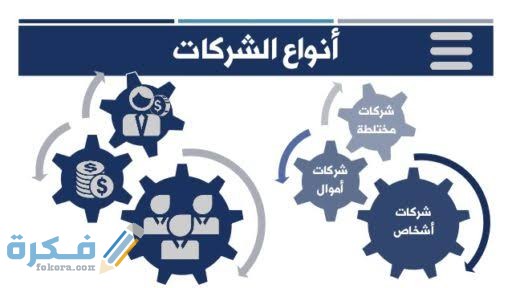 8 أنواع للشركات التجارية في القانون المصري 1 images 26
