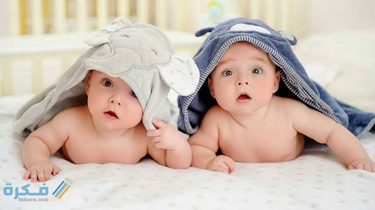 عشبة كف مريم للحمل بتوأم 1 images 68 2
