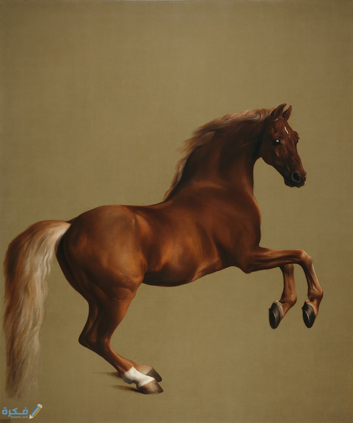 تفسير حلم رؤية الفرس في المنام 1 1200px Whistlejacket by George Stubbs edit