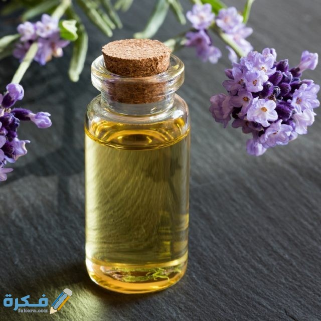 احدث وصفات علاج الم الظهر Lavender Essential Oil HB.EO .0001 Hamiast 1 1000x1000 1