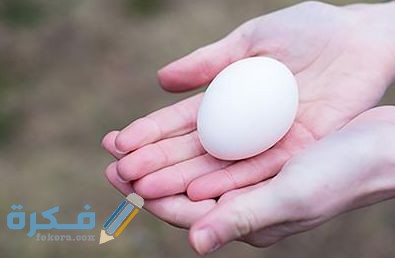 تفسير رؤية اعطاء البيض في المنام 1 305100988556482