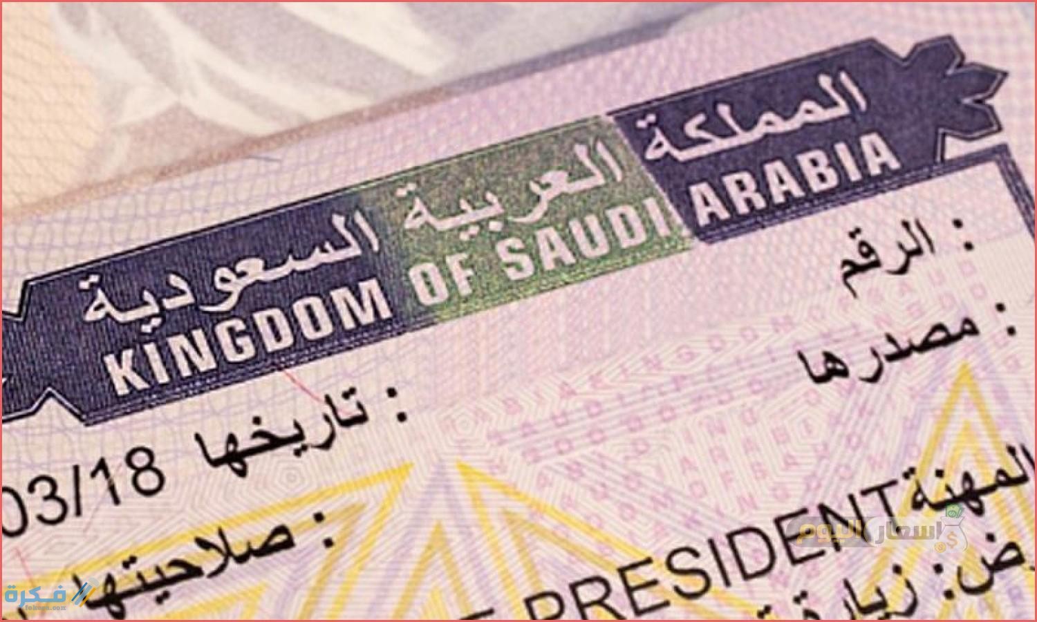 قسم التأشيرات في السفارة السعودية بالقاهرة 2 خدمات قسم التأشيرات في السفارة السعودية بالقاهرة