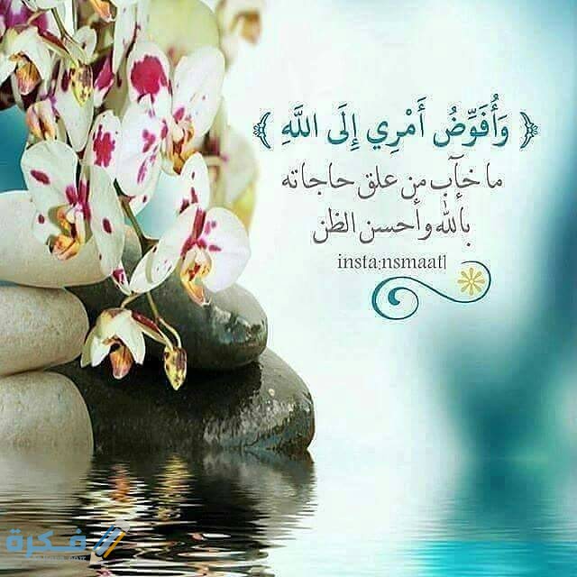 قصص عن التوكل علي الله 1 33682158474 692948c1f7 z