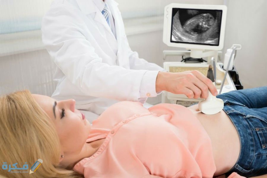 هل تشعر المرأة الحامل بنبض الجنين في الشهر الثالث 1 35EAB748 3F12 4E05 8A14 D5E05DFC3C84