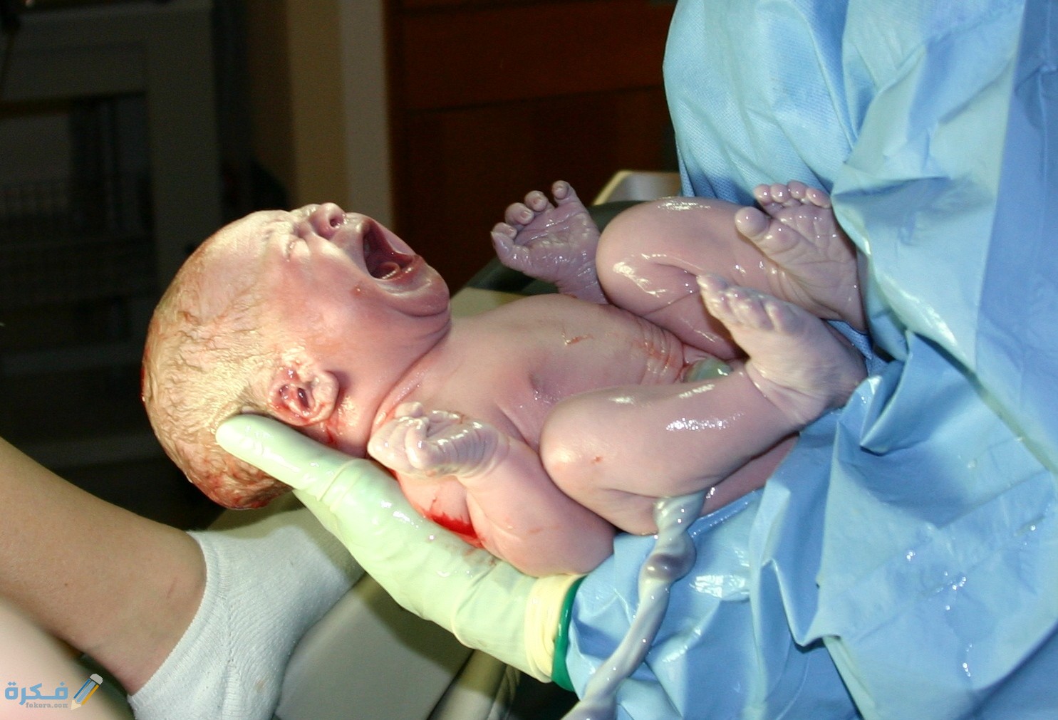 تفسير رؤية دم الولادة في المنام 1 HumanNewborn