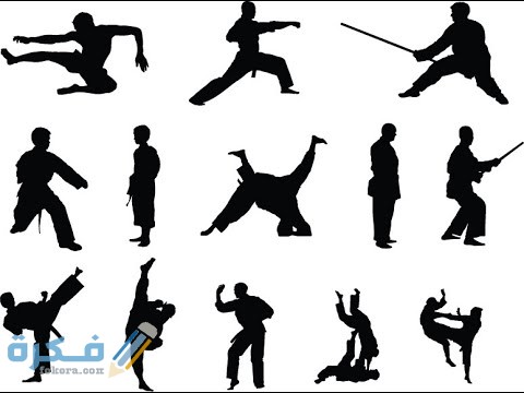 تعرف على انواع الفنون القتالية 1 مفهوم الفنون القتالية