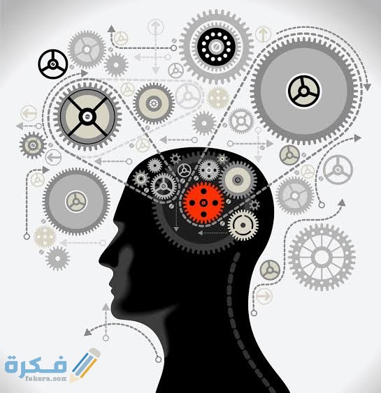 شرح خطوات كتابة مقدمة فلسفية بالتفصيل 1 images 2022 02 17T193028.599