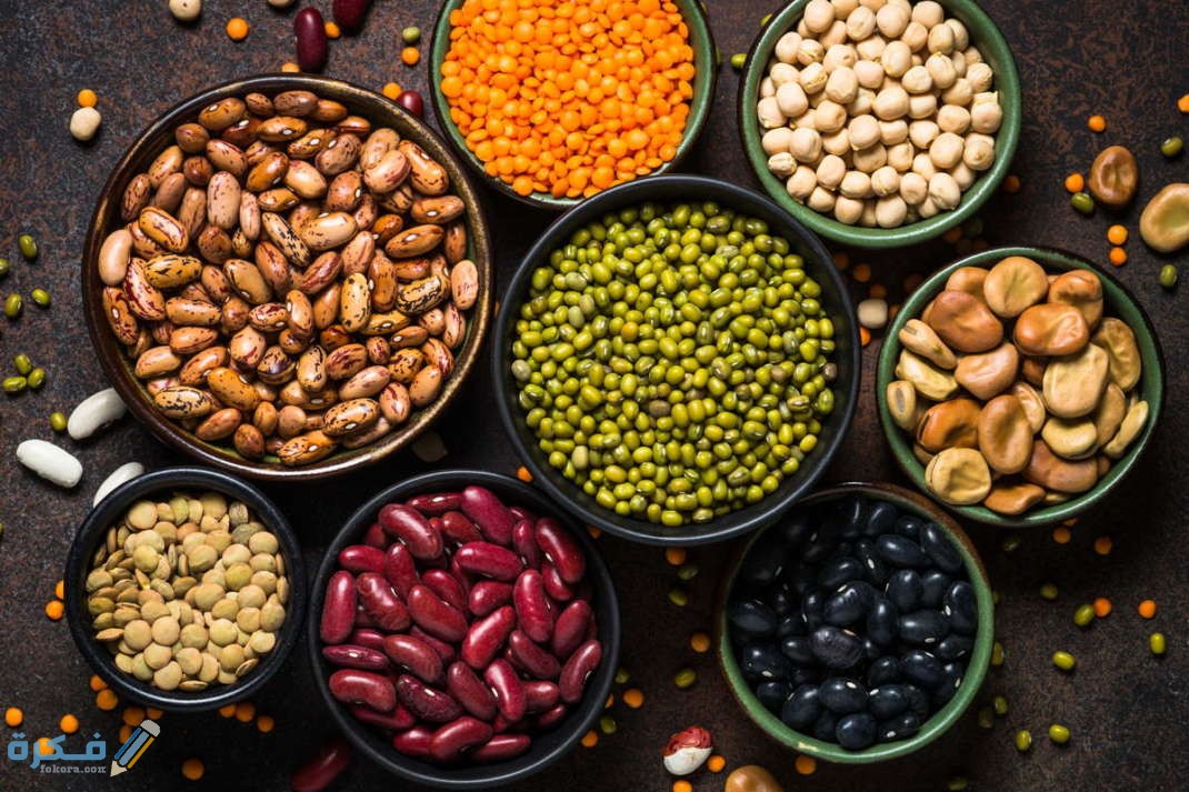 أسماء البقوليات مع الصور 1 أسماء البقوليات مع الصور