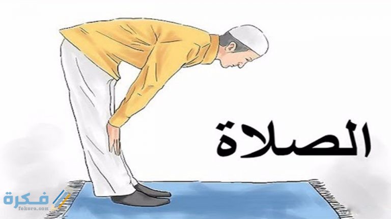 عدد واجبات الصلاة 1 عدد واجبات الصلاة