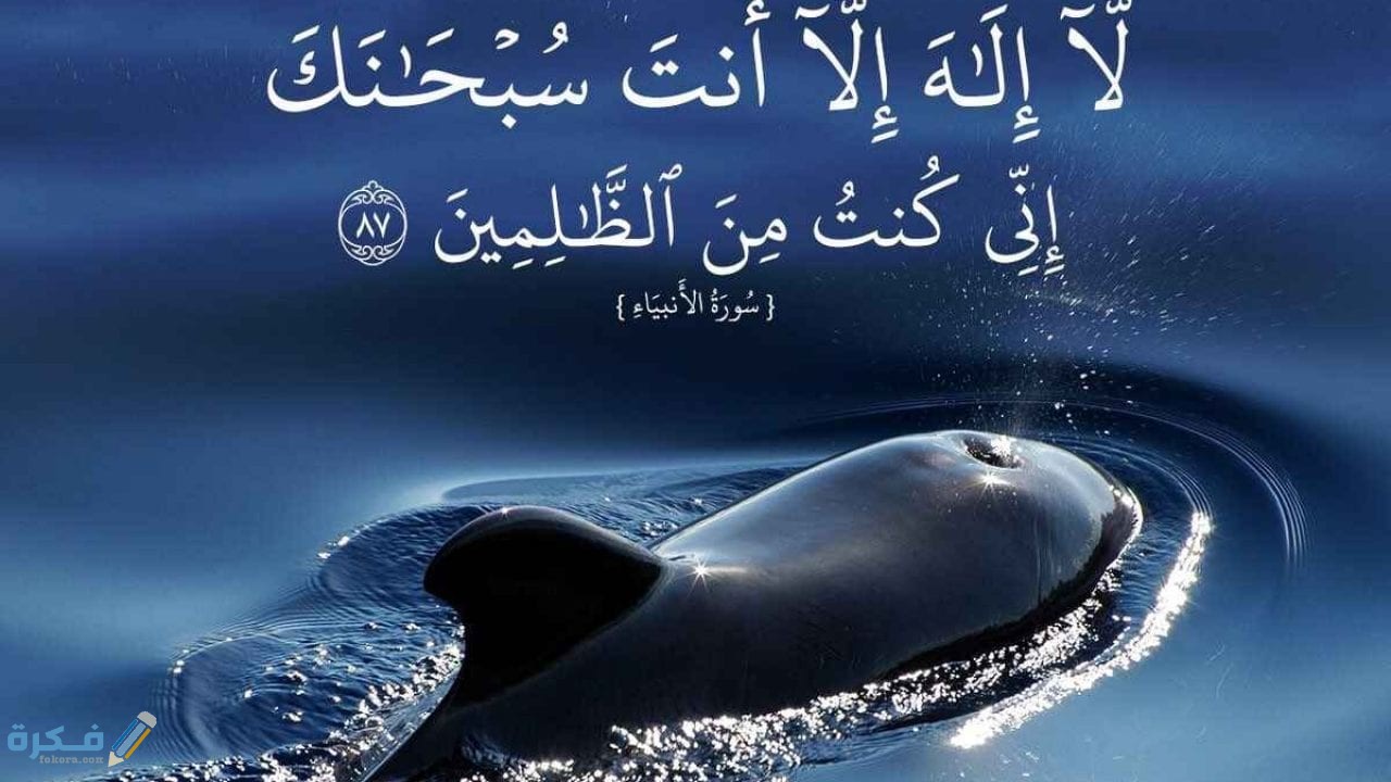 بحث عن سيدنا يونس في بطن الحوت 1 بحث عن سيدنا يونس في بطن الحوت