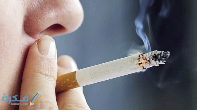 أرباح تجارة السجائر في مصر 1 إجراءات الدولة للحد من تجارة السجائر