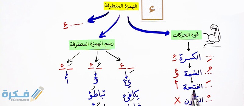 بحث عن الهمزه المتطرفة 1 hamza extremist learns 4 cases grammatical rules 6 practical