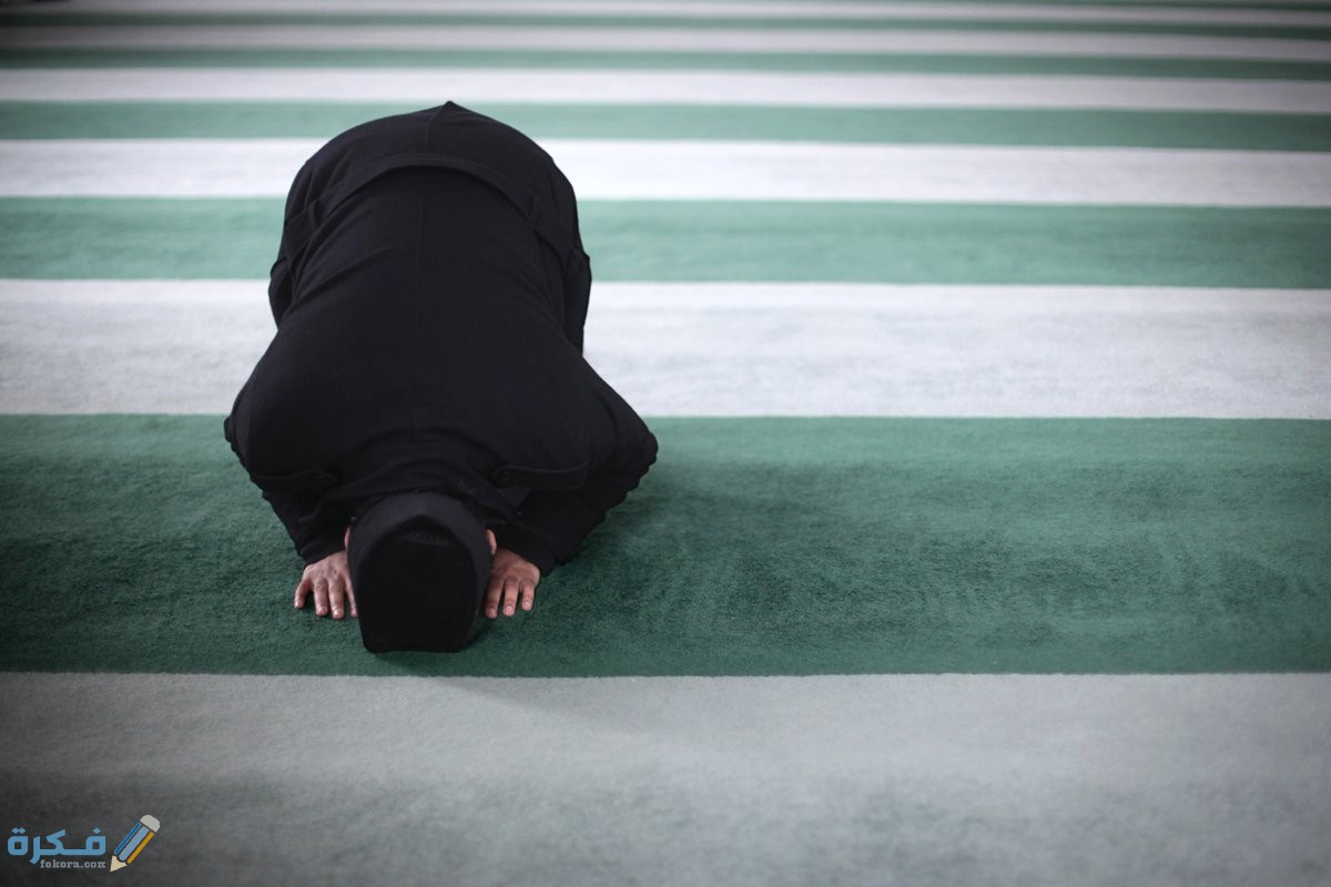 الفرق بين التراويح وقيام الليل 1 الفرق بين التراويح وقيام الليل