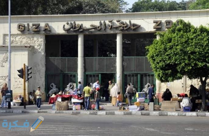 اقرب محطة مترو لحديقة الحيوان 1 images 2022 02 28T113710.969