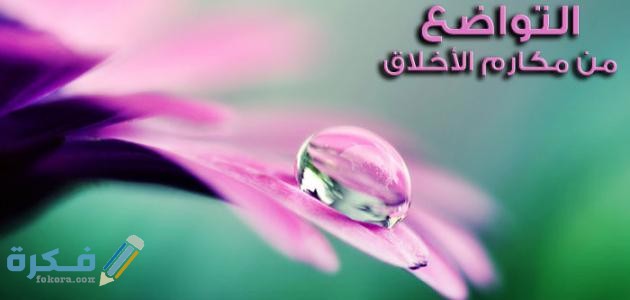 ندوة قصيرة جدا عن التواضع 1 مواضع التواضع في الاسلام