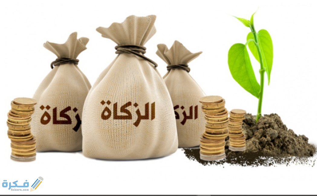 مقدار زكاة الفطر في البحرين 2025 1 زكاة الفطر البحرين