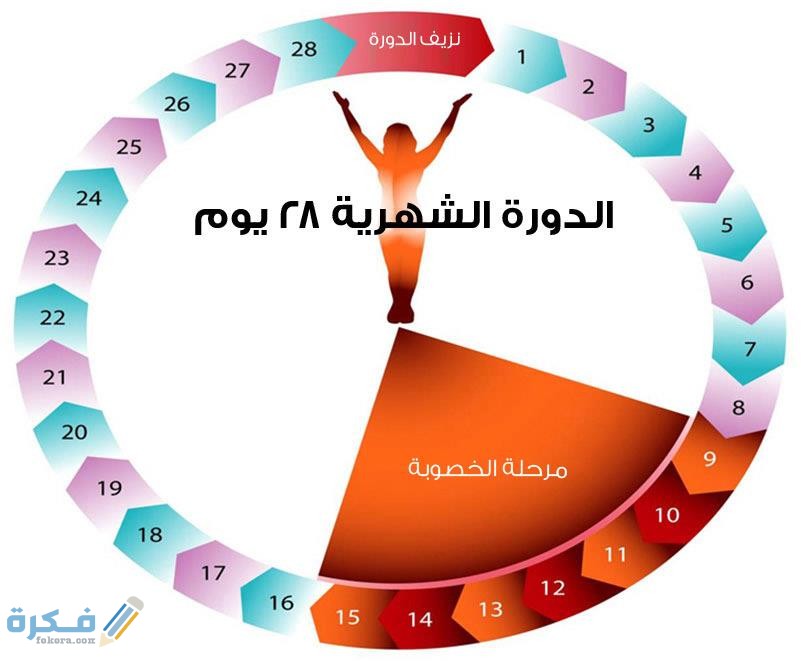 جدول الأيام التي لا يحدث فيها الحمل 1 2018 2 3 13 16 31 33