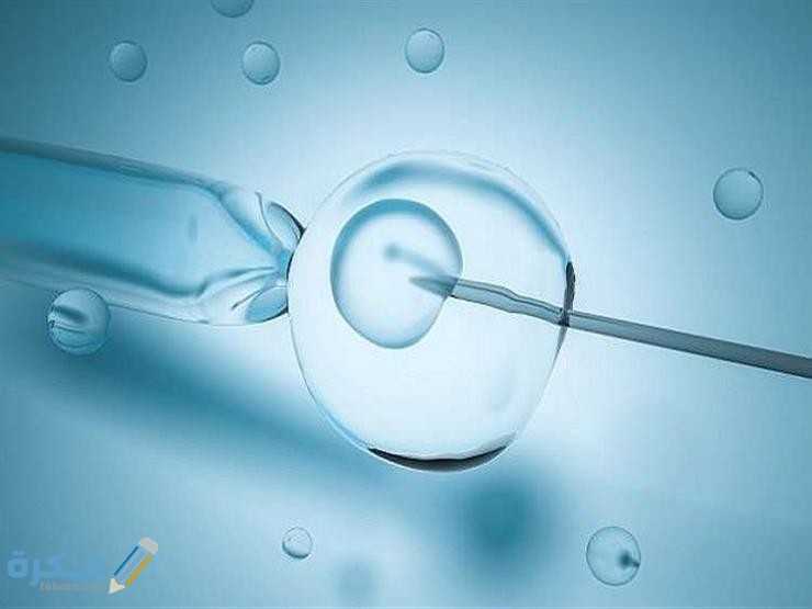 ما سبب كثرة دخول الحمام بعد ترجيع الأجنة 1 65 1