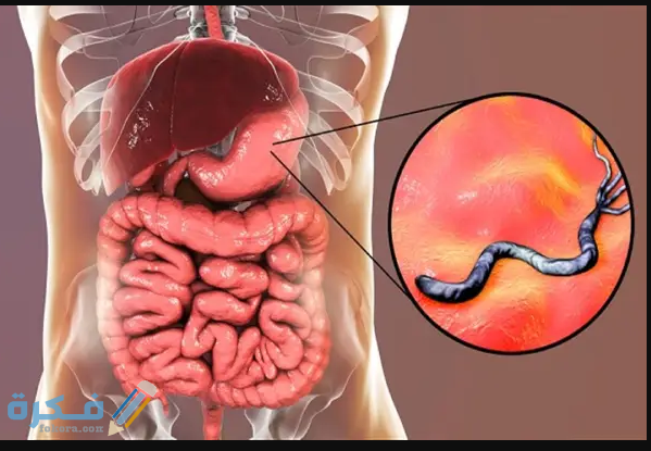 ما هي نسبة تحليل جرثومة المعدة الطبيعية 1 ما هي نسبة تحليل جرثومة المعدة الطبيعية