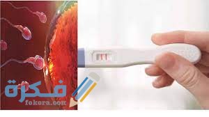 كيف أعرف أن البويضة تلقحت ايام التبويض 1 download 55