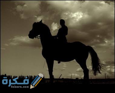 كم عدد الأحاديث التي رواها النعمان بن بشير 1 images 85