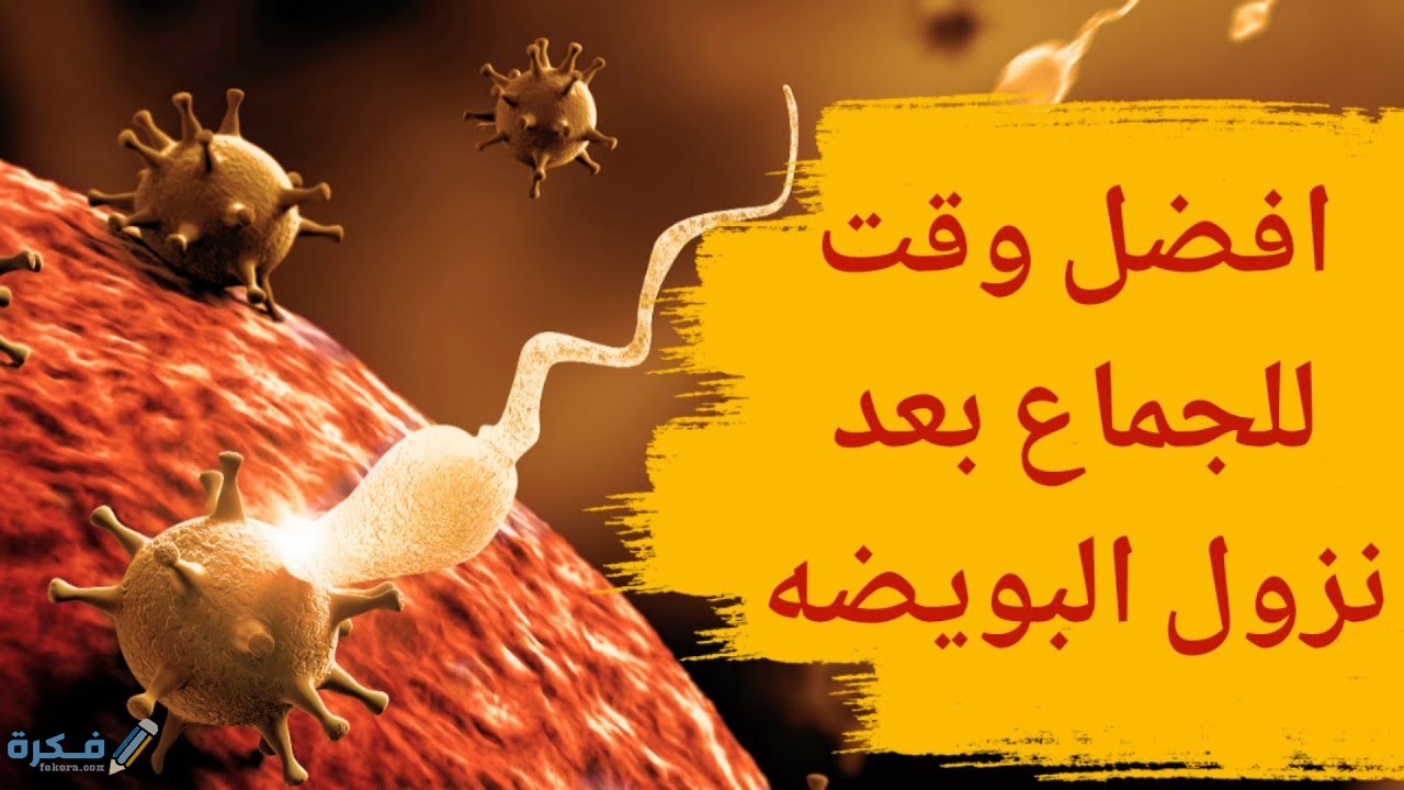 ما احسن وقت للجماع بعد نزول البويضة 1 maxresdefault 6