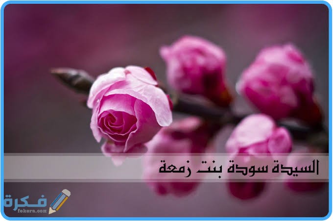 من هي ثاني زوجات الرسول 1 images 2022 05 25T094903.729