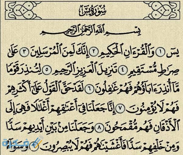 من هي قلب القرآن 1 images