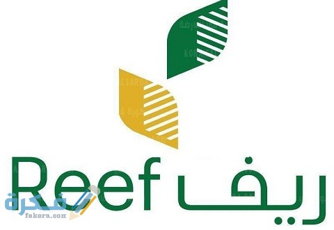 خطوات التقديم على دعم ريف لربات البيوت 1 رابط التقديم على دعم ريف لربات البيوت