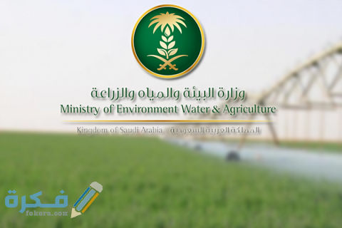 خطوات الحصول على دعم صغار مربي الماشية في تمهير 1 طريقة الحصول على دعم صغار مربي الماشية في تمهير