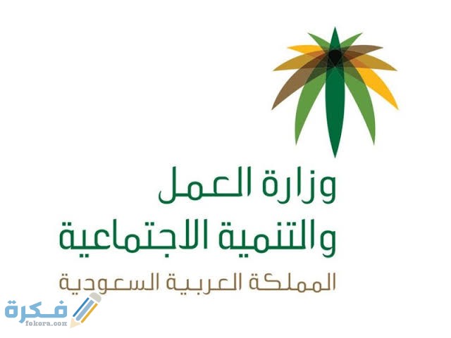 كيف أقدم شكوى لمكتب العمل وانواع الشكاوي 1 images 17 1