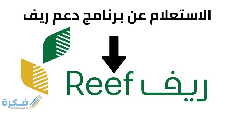 خطوات وشرح خطوات الاستفسار عن دعم ريف برقم الهوية 1 images 36