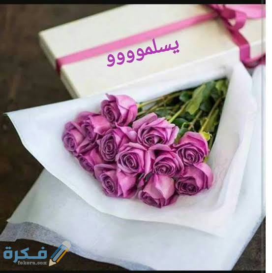 الرد على تسلم 1 images 53 2