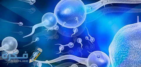 5 أضرار حبس السائل المنوي خطيرة 1 أضرار حبس السائل المنوي