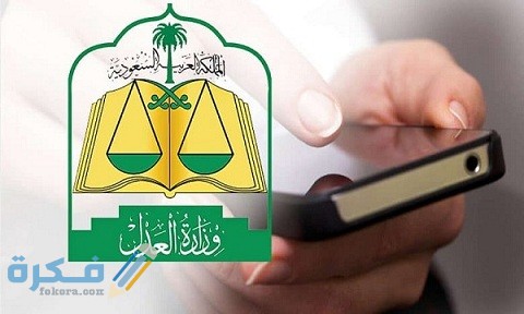 إقامة ولي على القاصر عقلاً 1 إقامة ولي على القاصر عقلاً