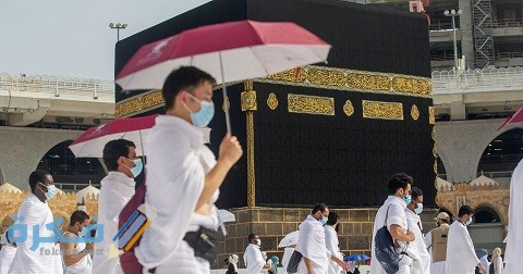 اعتماد عقود النقل لحجاج الخارج 1 اعتماد عقود النقل لحجاج الخارج